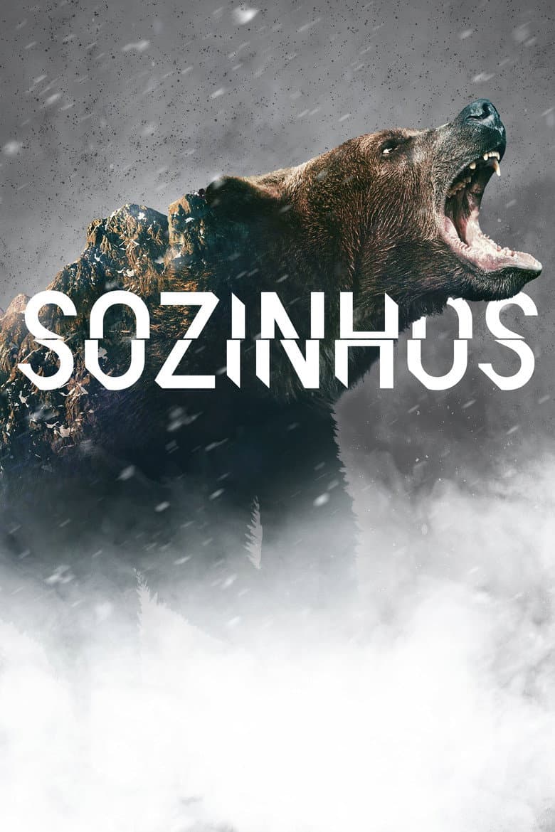 Capa de Sozinhos