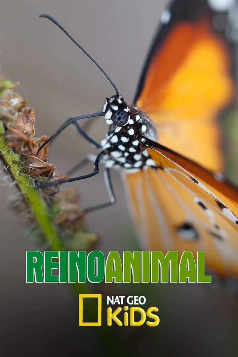 Capa de Reino Animal