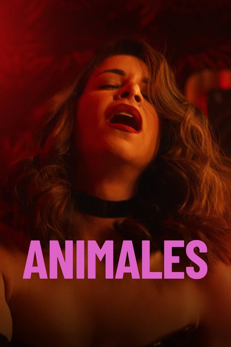 Capa de Animales