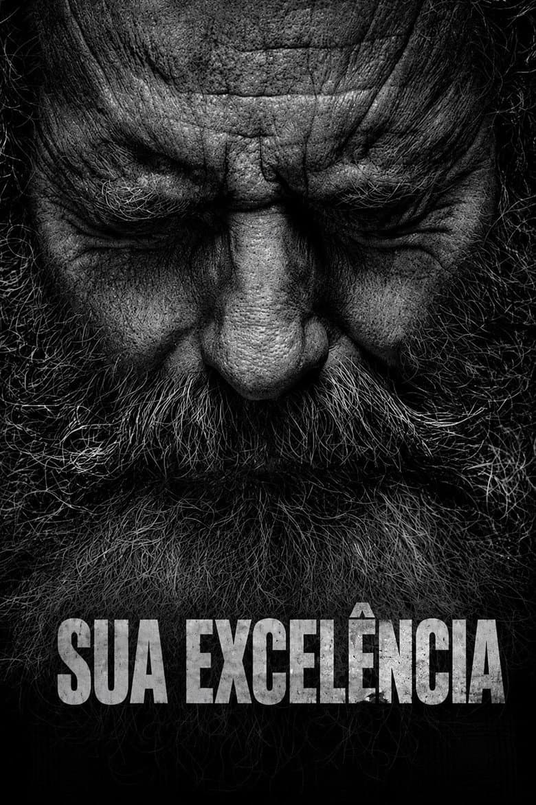 Capa de Sua Excelência