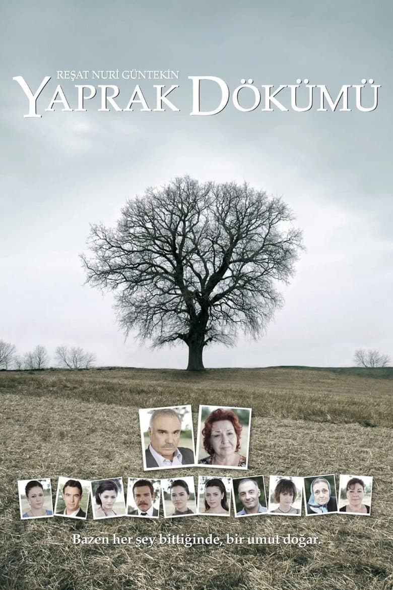 Capa de Yaprak Dökümü