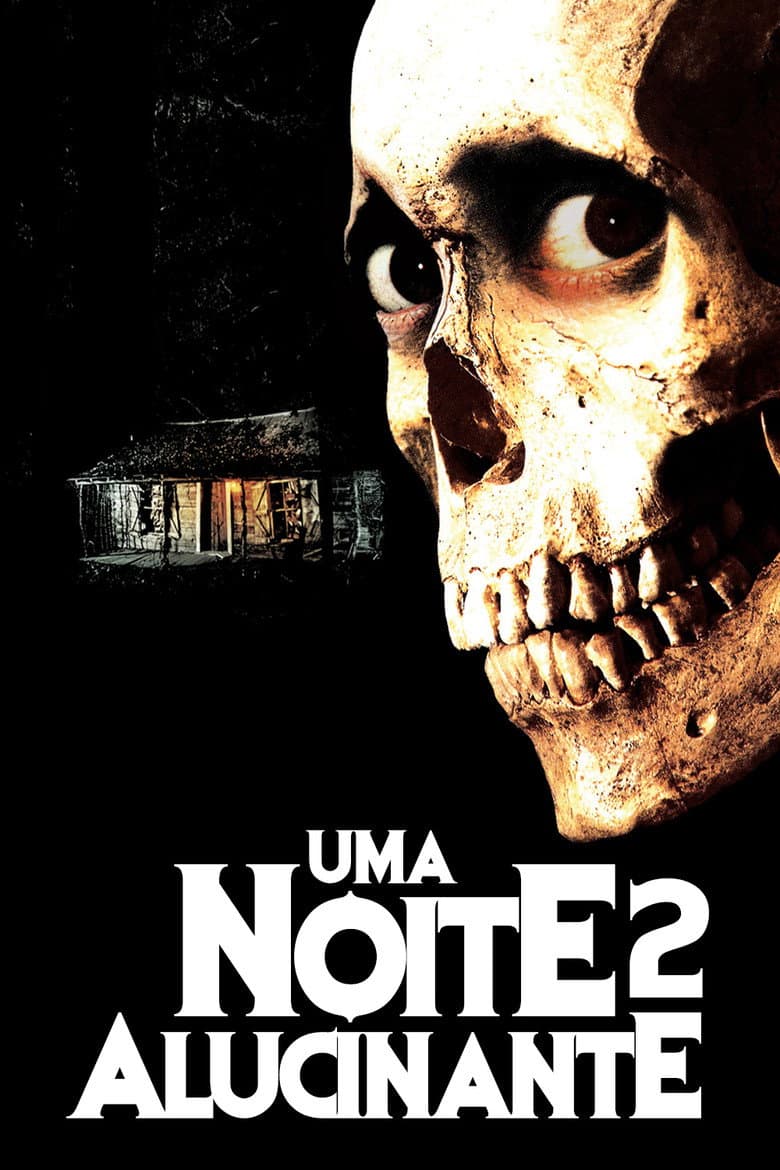 Capa de Uma Noite Alucinante 2