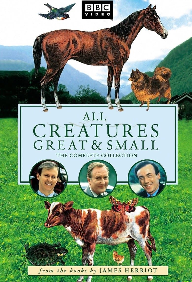 Capa de Criaturas Grandes e Pequenas
