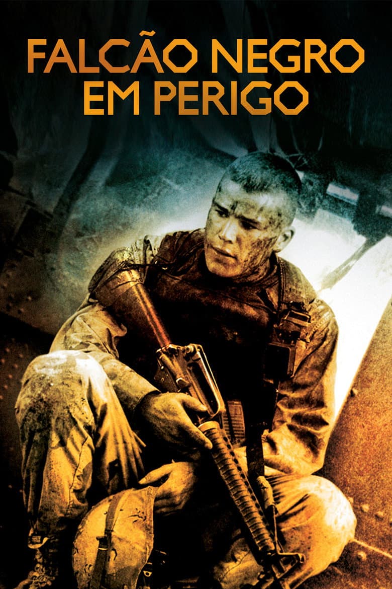 Capa de Falcão Negro em Perigo