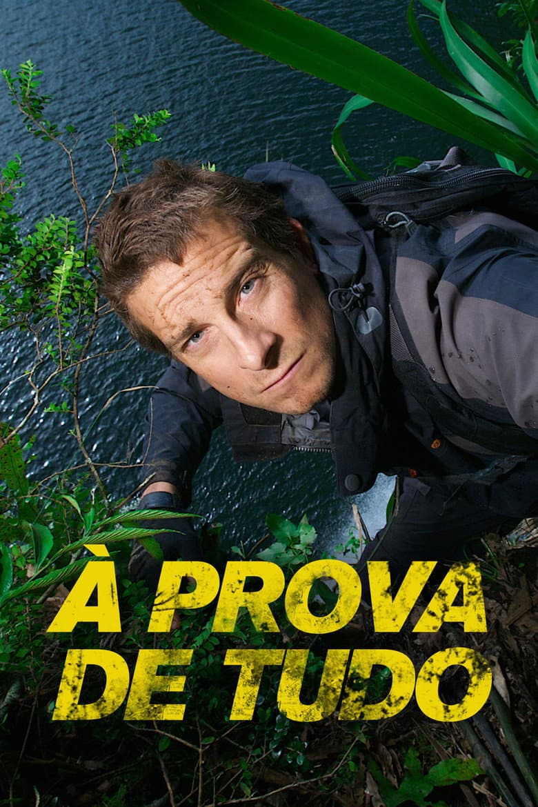 Capa de À Prova de Tudo
