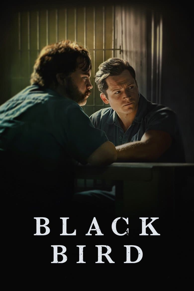 Capa de Black Bird